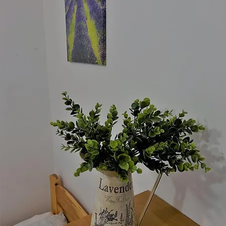 Relax Apartman *